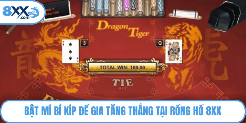 Bật mí bí kíp để gia tăng thắng tại Rồng Hổ 8XX