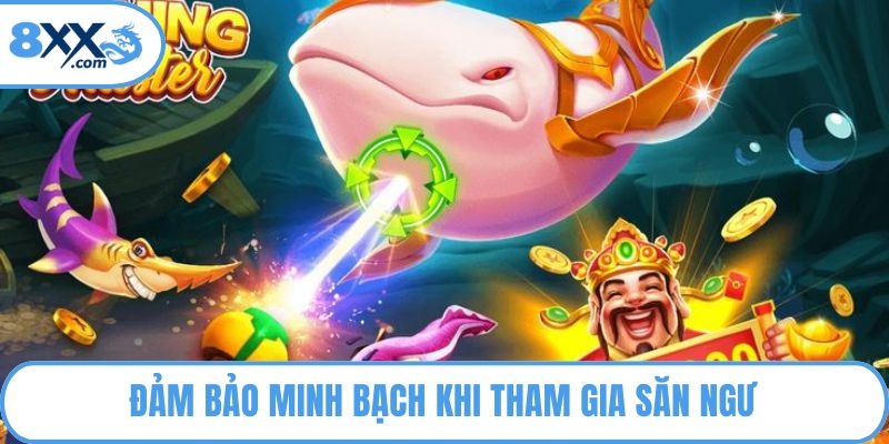 Đảm bảo minh bạch khi tham gia săn ngư
