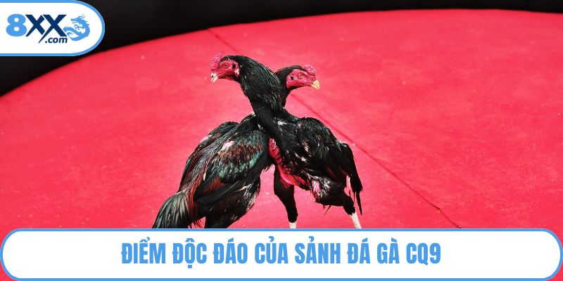 Điểm độc đáo của sảnh đá gà CQ9