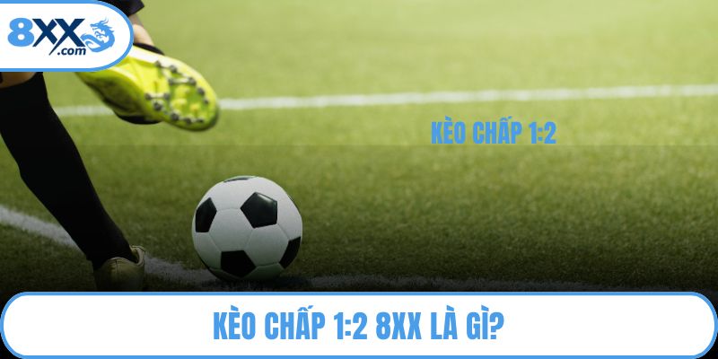 Kèo chấp 1:2 8XX là gì?