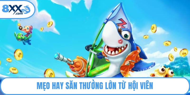 Bắn Cá Xèng 8XX - Mẹo Hay Săn Thưởng Nhanh Từ Cao Thủ 3 Mẹo hay săn thưởng lớn từ hội viên