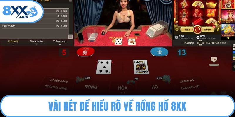 Vài nét để hiểu rõ về Rồng hổ 8XX